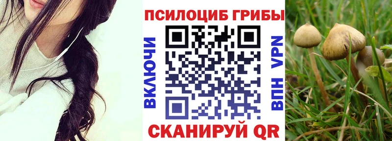 Псилоцибиновые грибы GOLDEN TEACHER Урай