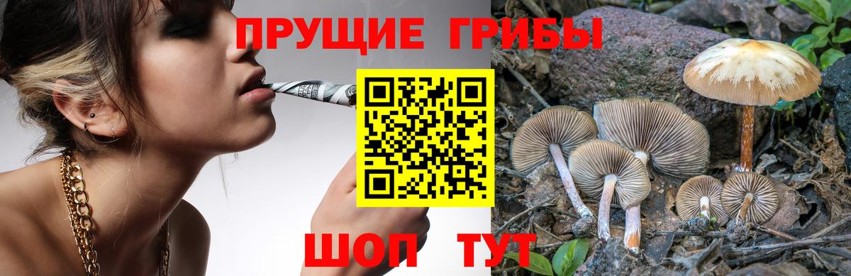 Псилоцибиновые грибы Psilocybe  Вход с VPN  Урай 
